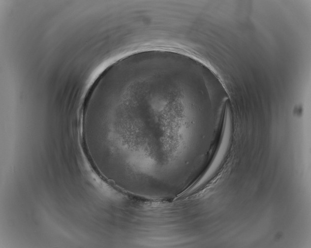 X0000090871515200707271239