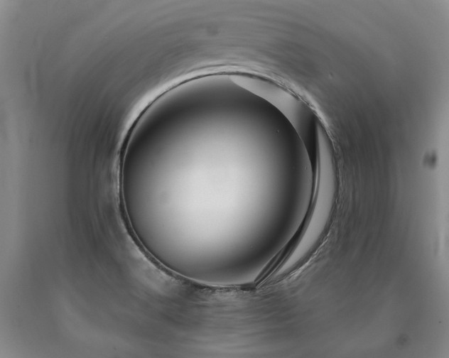 X0000090871516200707271239