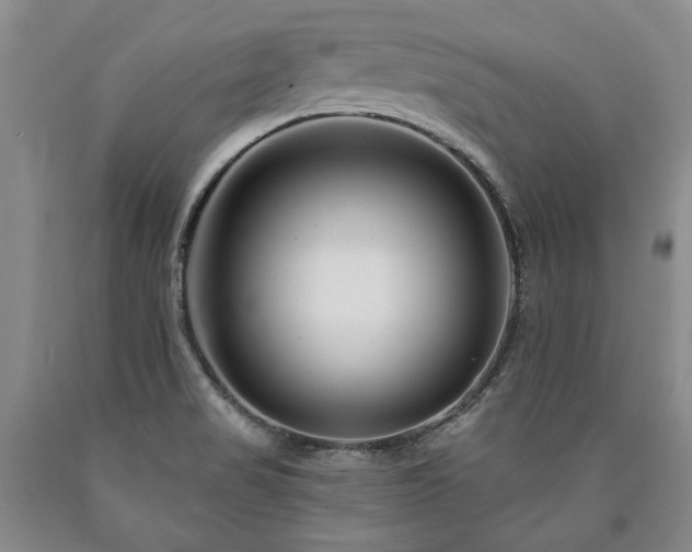 X0000090871517200707271239