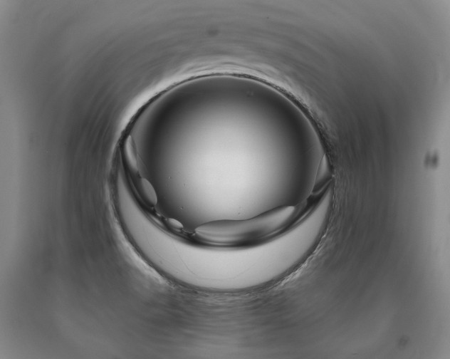 X0000090871518200707271239