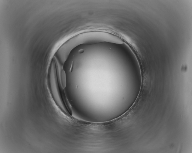 X0000090871520200707271239