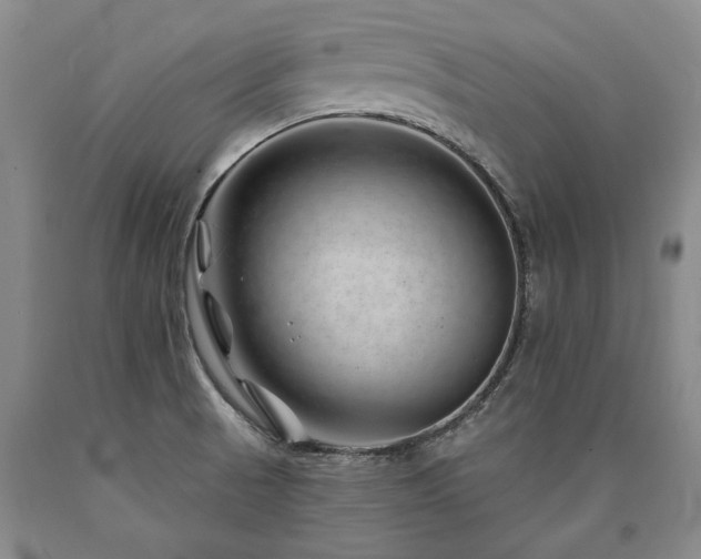 X0000090871521200707271239