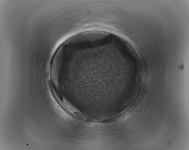 X0000090871522200707271239