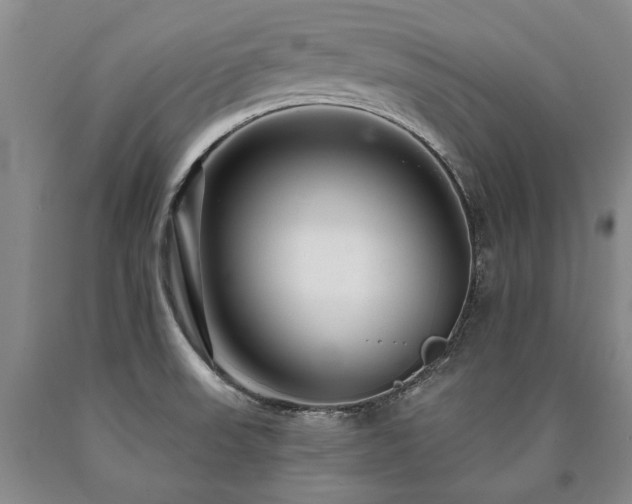 X0000090871523200707271239