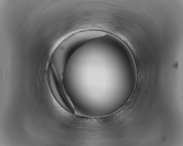 X0000090871524200707271239