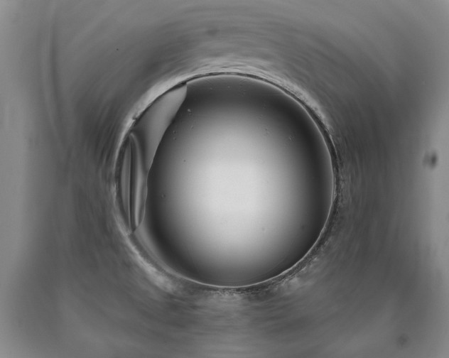 X0000090871525200707271239