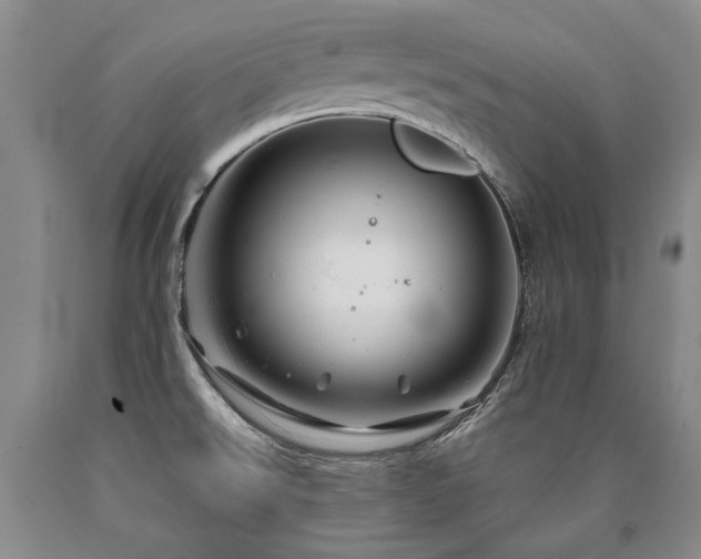 X0000090871526200707271239