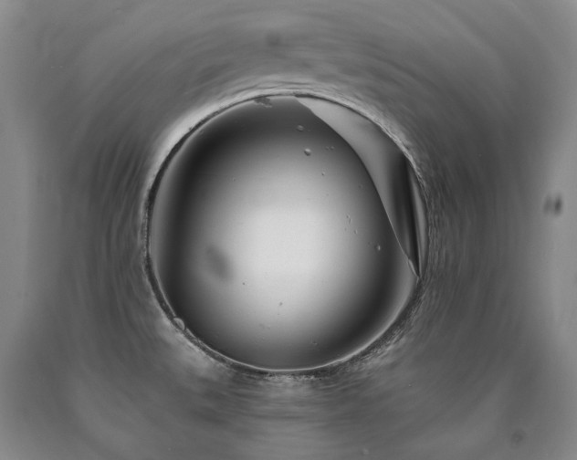 X0000090871527200707271239