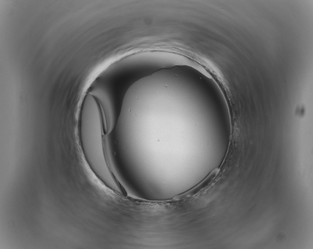 X0000090871528200707271239