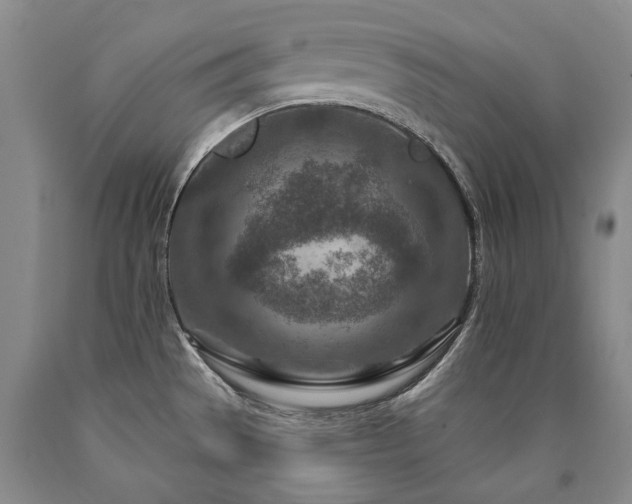 X0000090871529200707271239