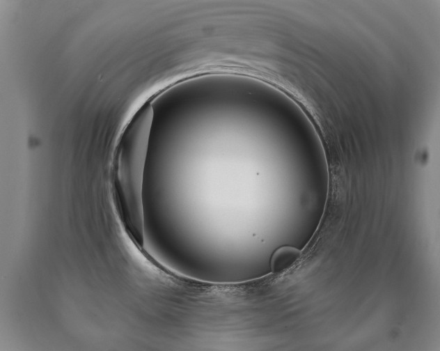 X0000090871531200707271239