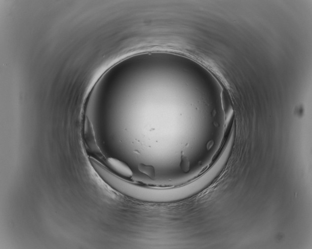 X0000090871532200707271239