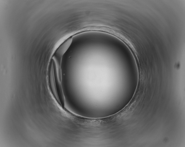 X0000090871533200707271239