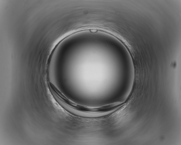 X0000090871534200707271239