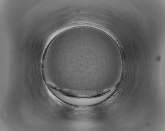 X0000090871535200707271239