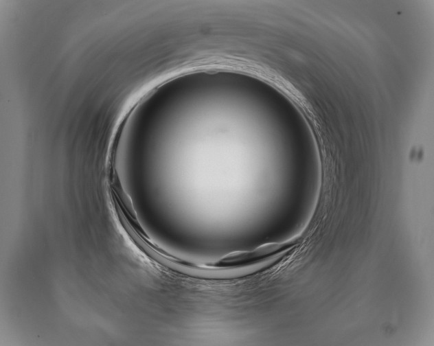 X0000090871536200707271239