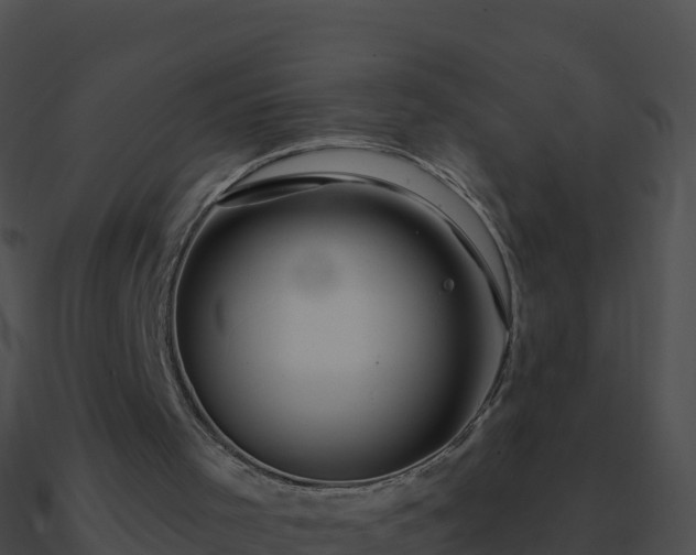 X0000090870001200708031019