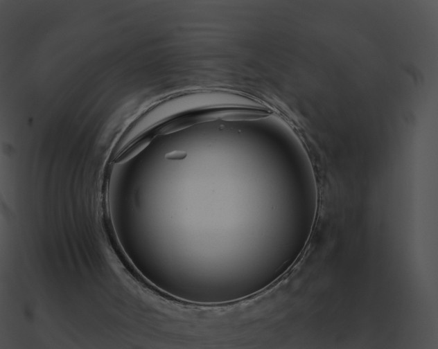 X0000090870002200708031019