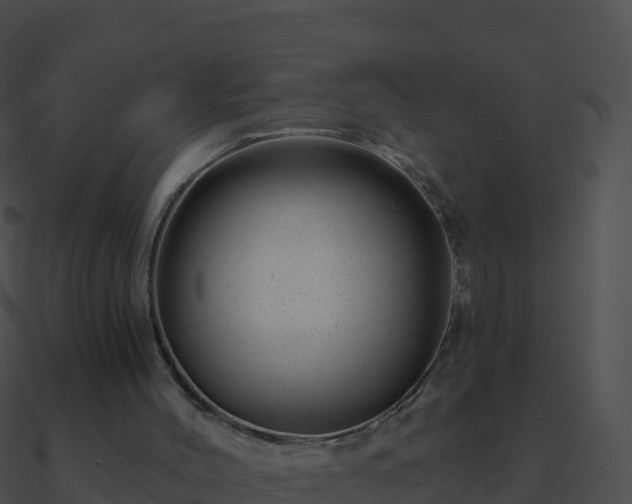 X0000090870004200708031019