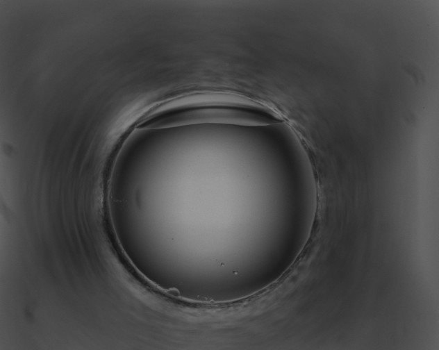 X0000090870005200708031019