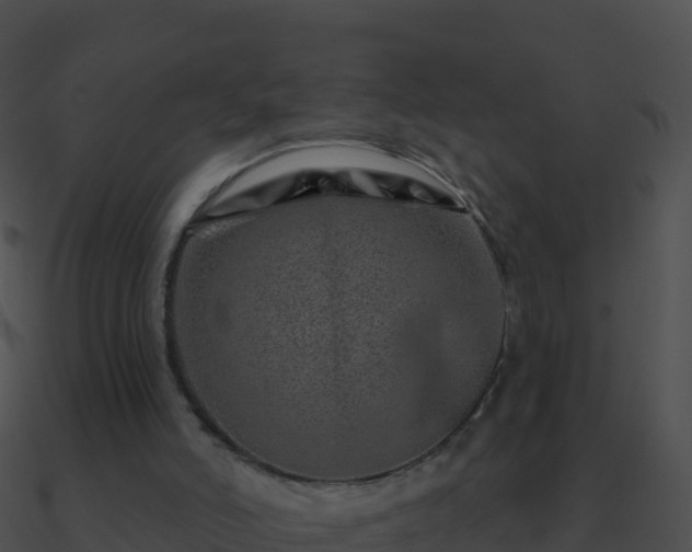 X0000090870006200708031019