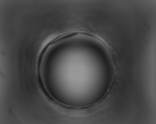 X0000090870008200708031019