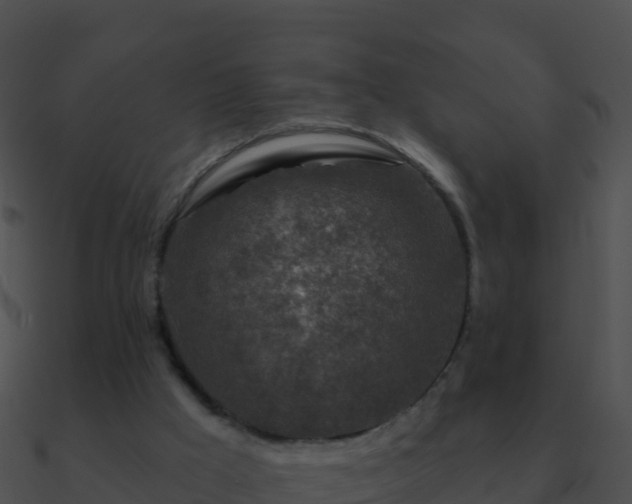 X0000090870009200708031019