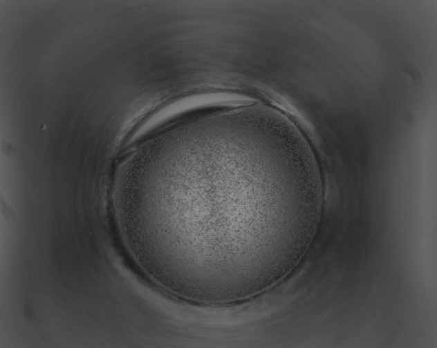 X0000090870010200708031019