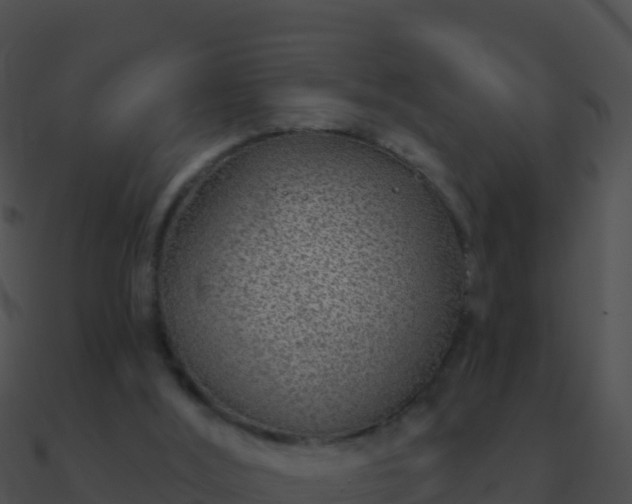 X0000090870012200708031019