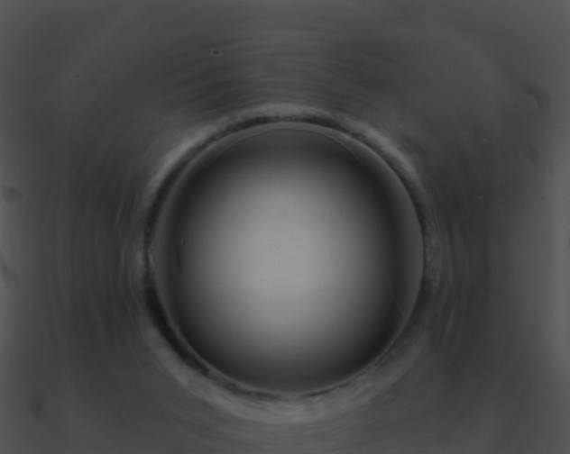 X0000090870015200708031019