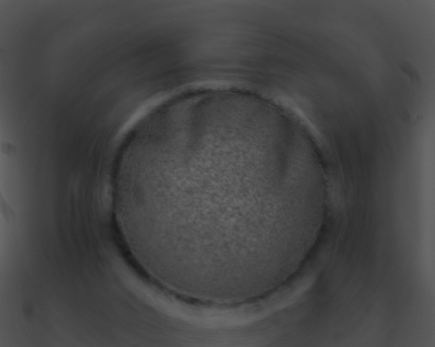 X0000090870016200708031019