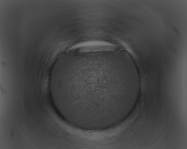 X0000090870018200708031019