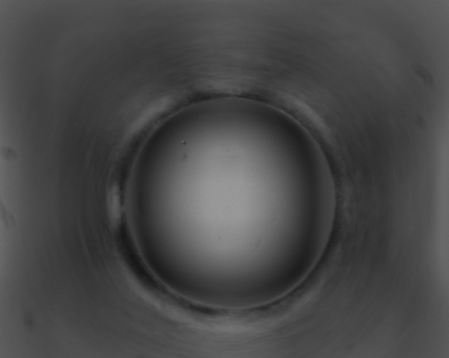 X0000090870020200708031019