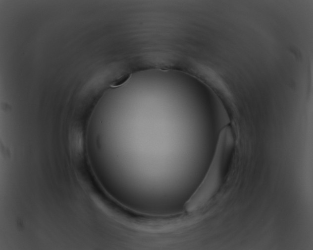 X0000090870021200708031019