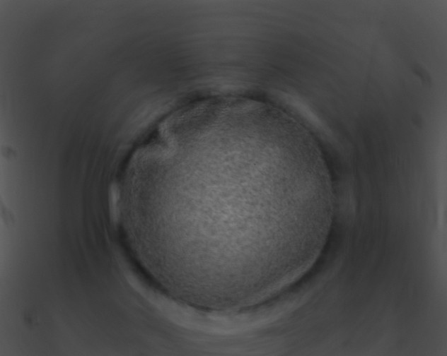 X0000090870022200708031019