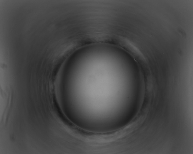 X0000090870025200708031019