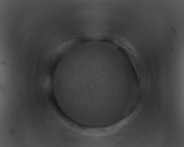 X0000090870029200708031019