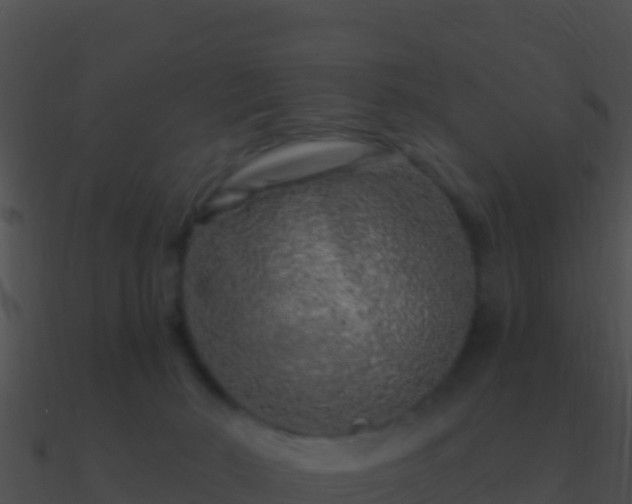 X0000090870030200708031019