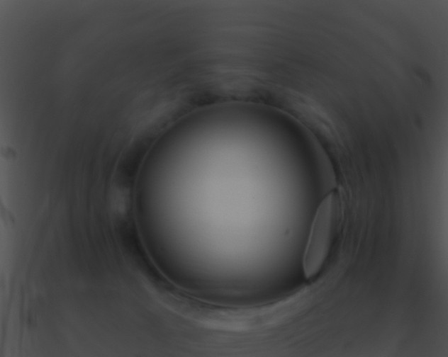 X0000090870033200708031019