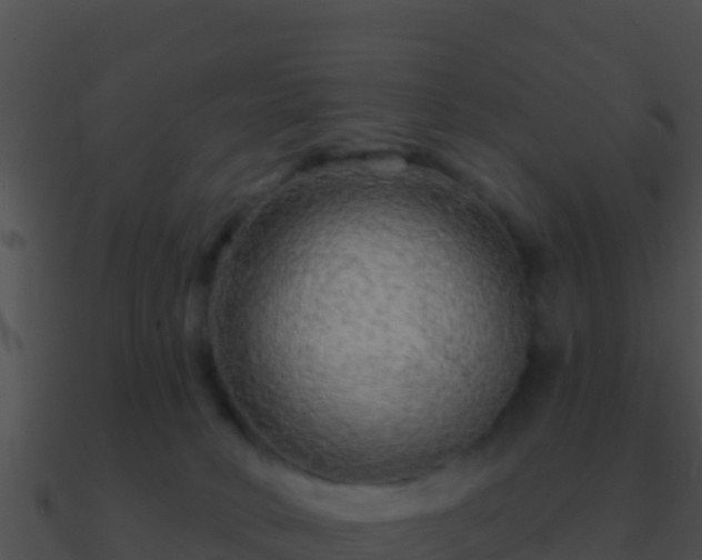 X0000090870034200708031019