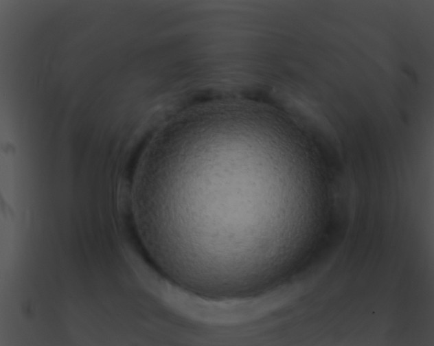 X0000090870038200708031018