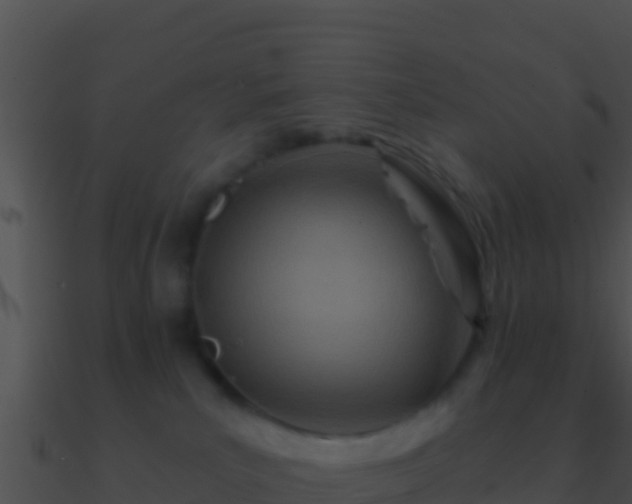 X0000090870039200708031018