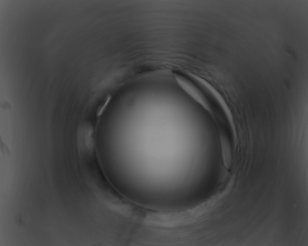 X0000090870041200708031018