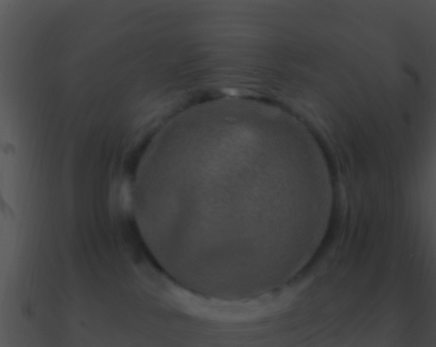 X0000090870042200708031018