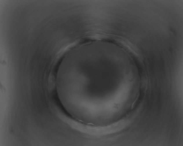 X0000090870043200708031018