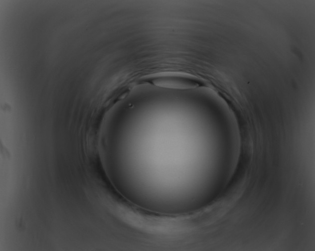 X0000090870044200708031018