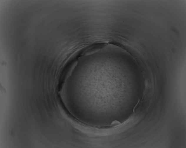 X0000090870048200708031018