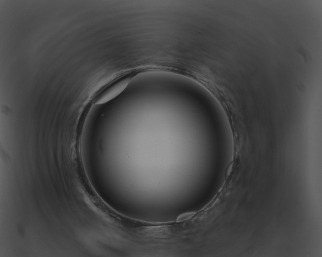 X0000090870050200708031018