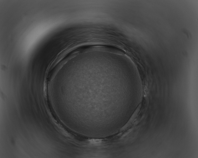 X0000090870052200708031018