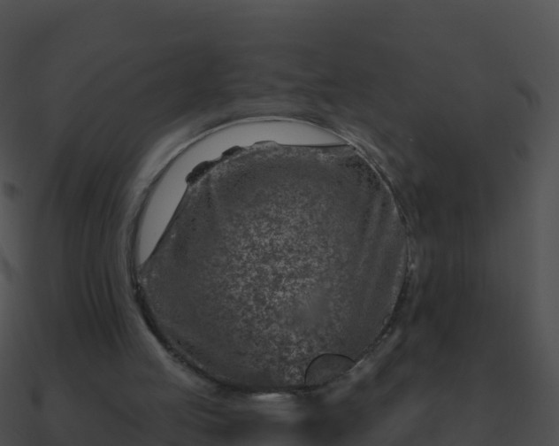 X0000090870053200708031018